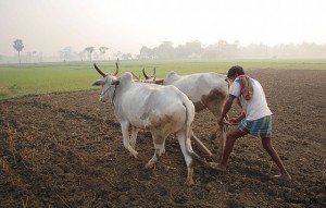 farmer demo