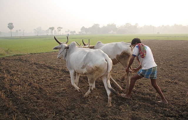 farmer demo